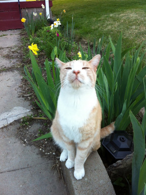 Frankie Bacon, earlier this spring when the daffodils were out. There ...