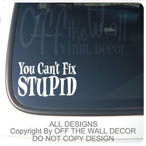 Quote-Vinyl-Lettering-You-Cant-Fix-Stupid-Vinyl-Car-Truck-Decal ...