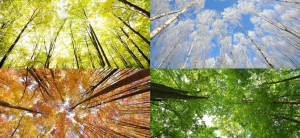 Quotes for inspiration