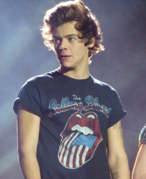 Harry Styles made a deaf fan feel special at a One Direction show this ...