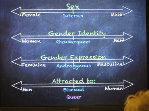 Gender Fluid Pronouns