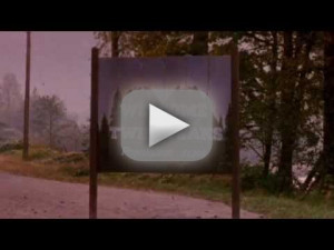 Twin Peaks Revival: Coming to Showtime!