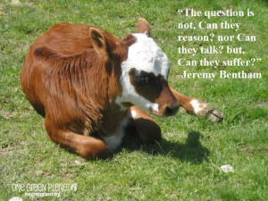 14 Quotes Every Animal Advocate Should Know By Heart (8)