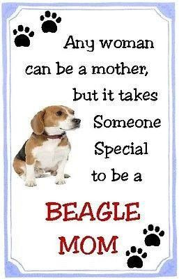 Beagle quote