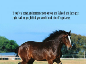 Get Off Your High Horse...