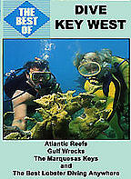 Best of Dive Key West