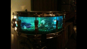 Drum fish tank