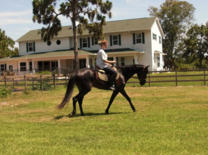 Last Edited By: skye Aug 16 09 11:29 PM.Edited 2 times.