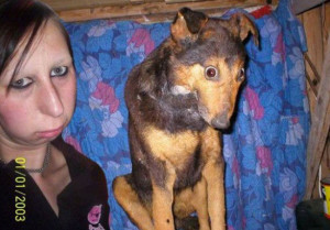 They Say That Dogs And Their Owners Start To Look Alike... And Here's ...