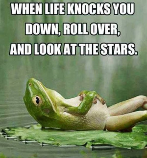 When life knocks you down, roll over and look at the stars.
