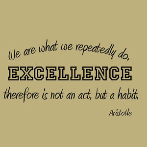 ... -We-Repeatedly-Do-Inspirational-Wall-Decal-Motivational-Quote-Sports