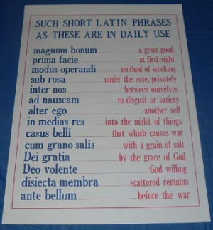 LATIN PHRASES IN COMMON USE POSTER
