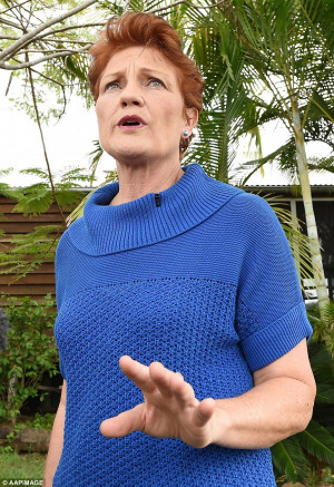 Pauline Hanson holds a press conference at her home south west of