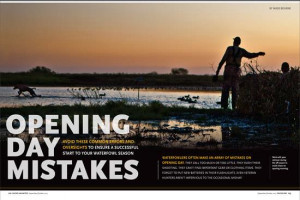 Previous image Next image