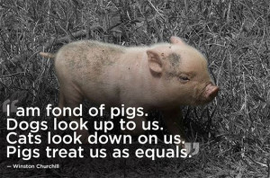 quotes_that_will_make_you_want_to_hug_your_pet