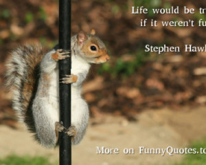 Stephen Hawking Funny Quotes
