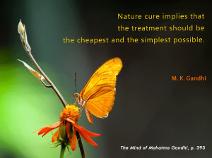 Mahatma Gandhi Quotes on Nature Cure