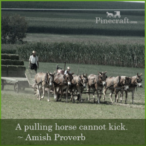 Amish Proverbs Quotes