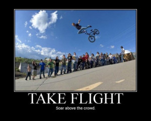 Take Flight ~ Soar Above The Crowd