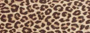 Cheetah Print Facebook Timeline Cover