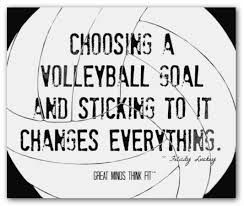 beach volleyball quotes