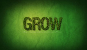 Enduring Hardships Quotes