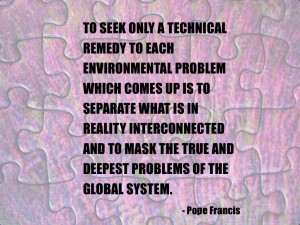 Pope Francis’ encyclical vs the UN’s SDGs: Who Will Save the World ...