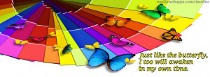 Butterfly timeline cover