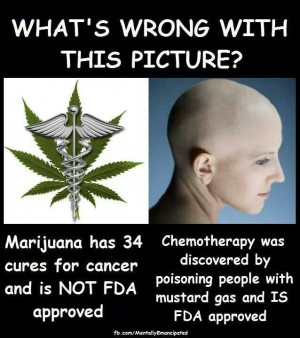 Marijuana vs chemo one word, CORPORATOCRACY - they already knew that ...