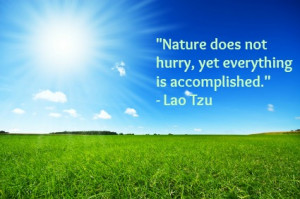 Nature does not hurry, yet everything is accomplished. 