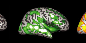 Sesame Street Quotes About Life Sesame-street-reveals-how-the- ...