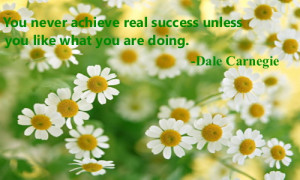 You never achieve real success- Success Quotes