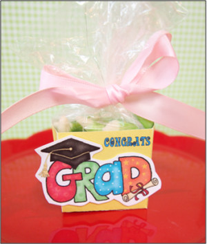 Party Favors Candy Boxes 