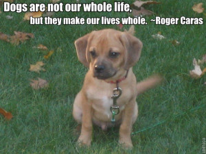 expandedramblings.comHow To: Quickly Add Text to an Image for Facebook ...