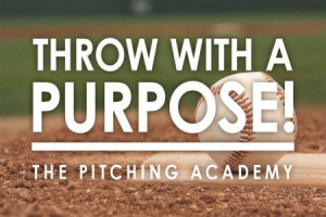 Baseball Quotes: Throw with a Purpose - You don’t just throw the ...