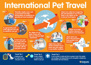Whether relocating overseas or moving home permanently, Jetpets has ...
