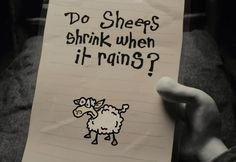 Do sheeps shrink when it rains?