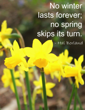 No winter lasts forever; no spring skips its turn. Hal Borland Quote