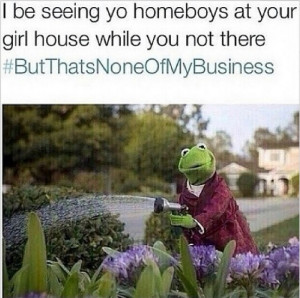 Photos / Kermit the Frog inspires funny Instagram memes