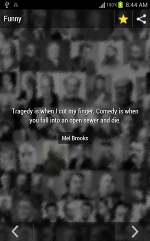 Quotes and Sayings - screenshot