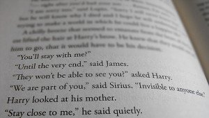 book, deathly hallows, harry potter, james potter, text, words ...