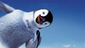 image description for baby penguin hd background baby penguin ...