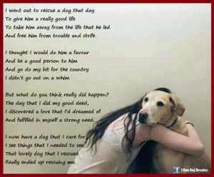 Rescue Dog Poem
