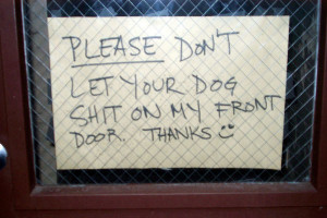 25 Funny Quotes and Pictures