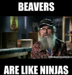 duck dynasty memes | Duck Dynasty: Ninja Beavers | Go Beavs