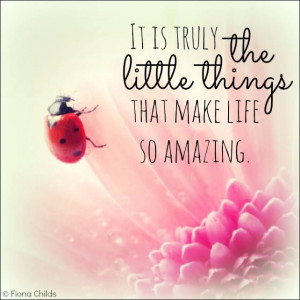 Fiona Childs It is truly the little things that make life so ...