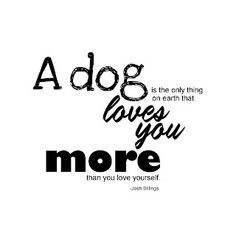 ... thing on earth that loves you more than you love yourself. | Dog Quote