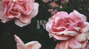 Sensei Sye – Bae & Wake Up X