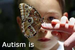 ... in a very general sense, autism is everything and it is nothing too