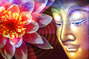 Buddha and the Lotus Flower